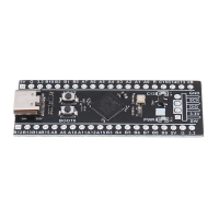 STM32 Black Pill Development Board
